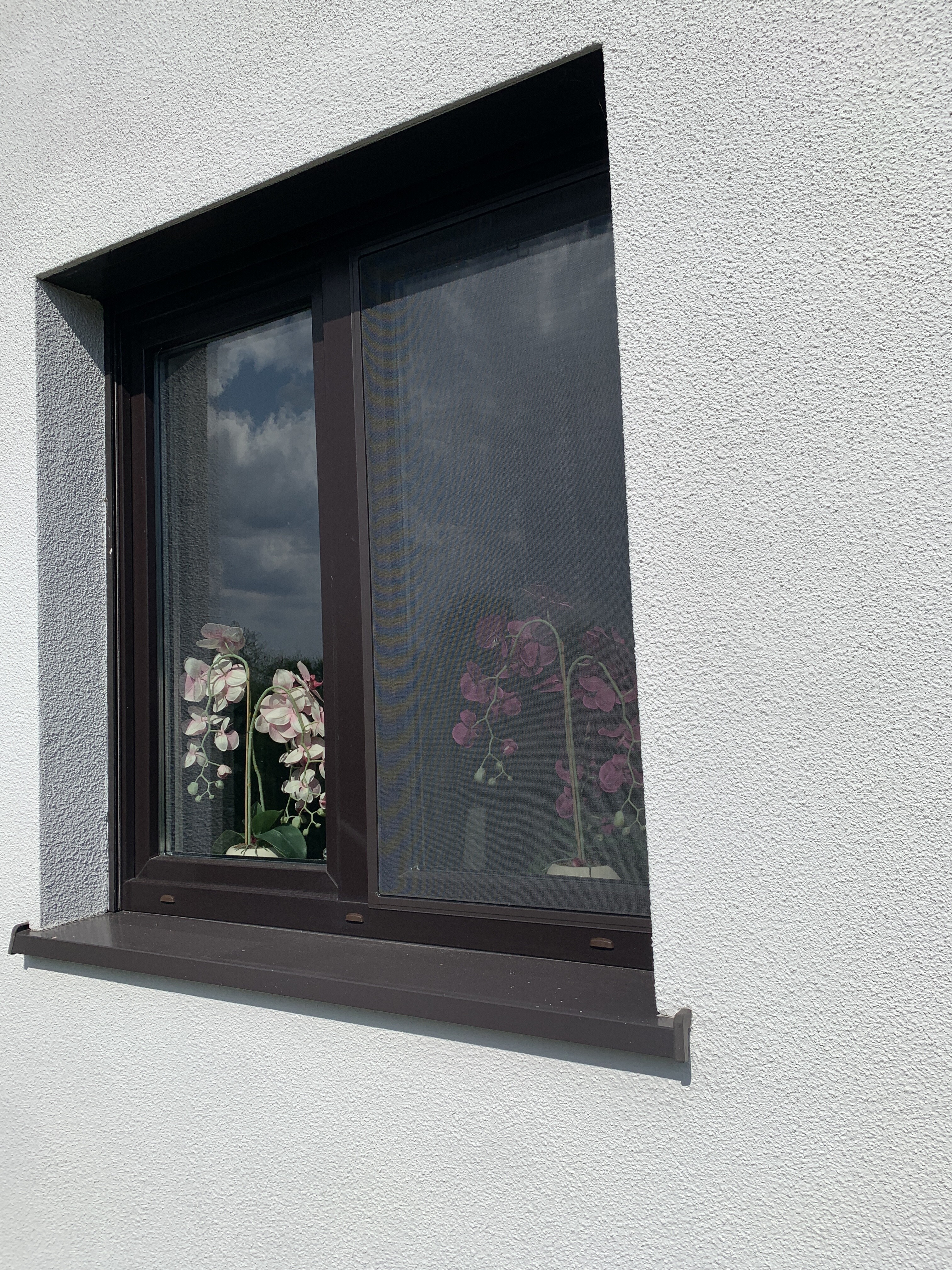 Window & door detail · 2