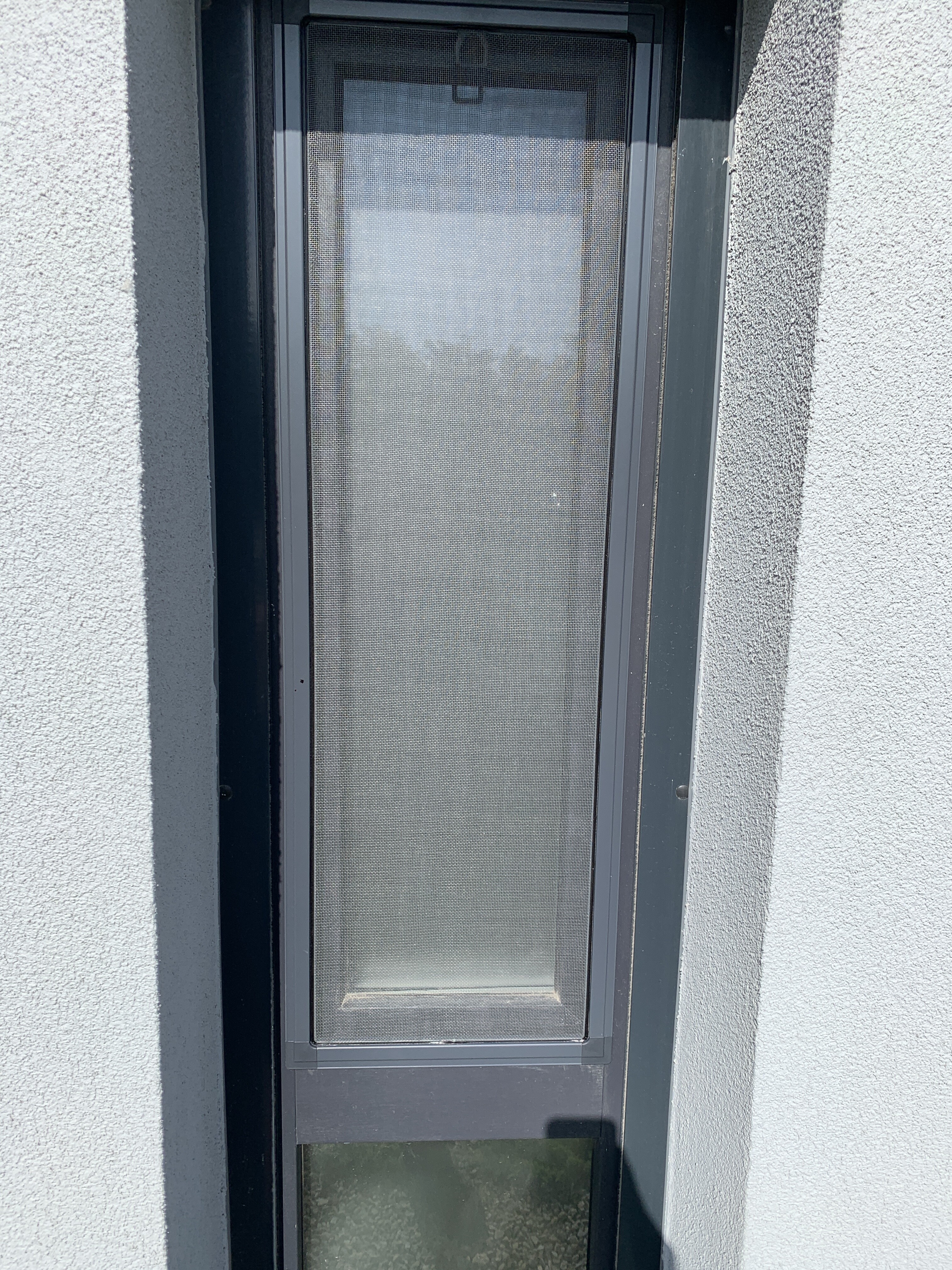 Project detail · 3