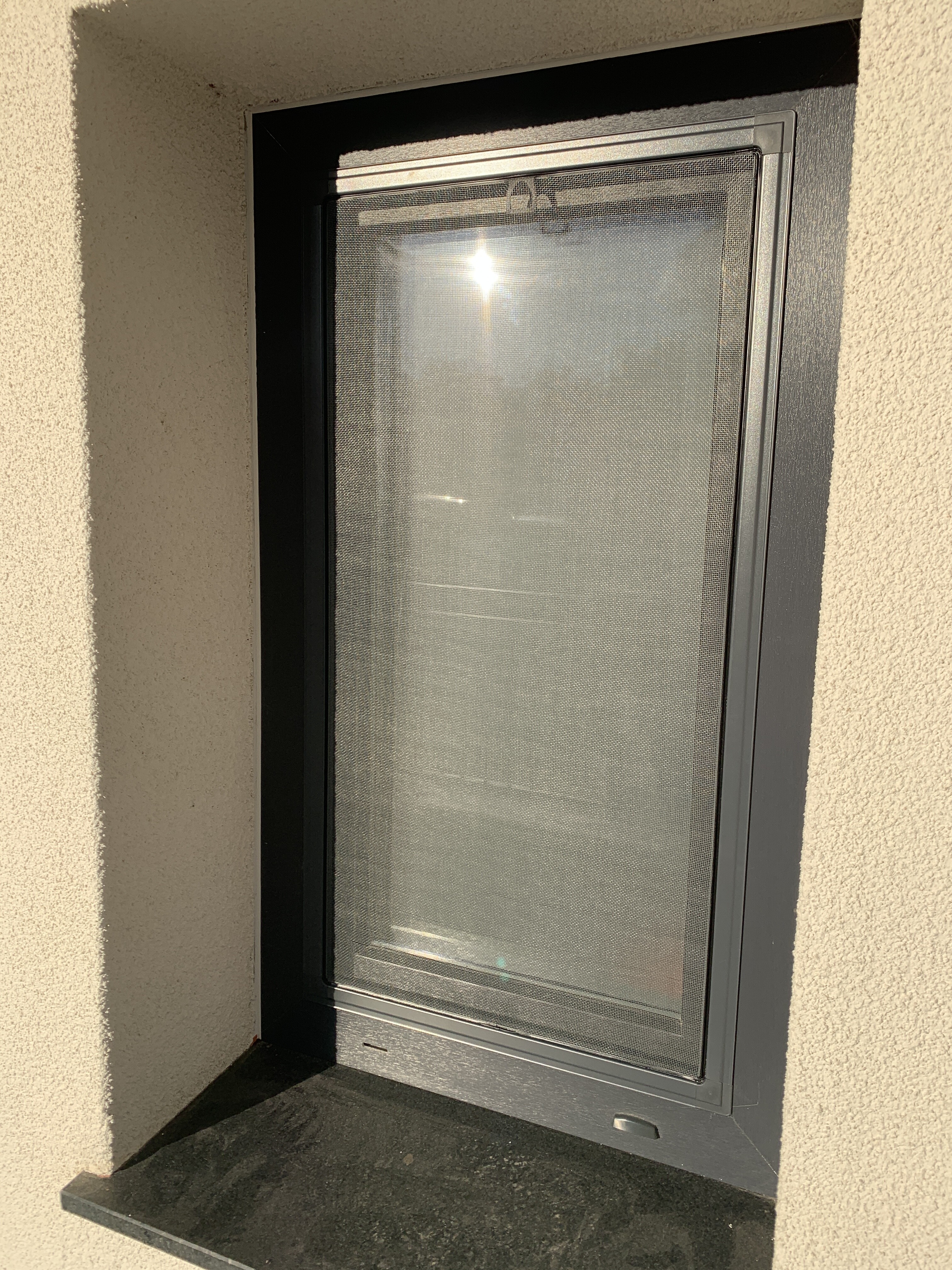 Project detail · 6