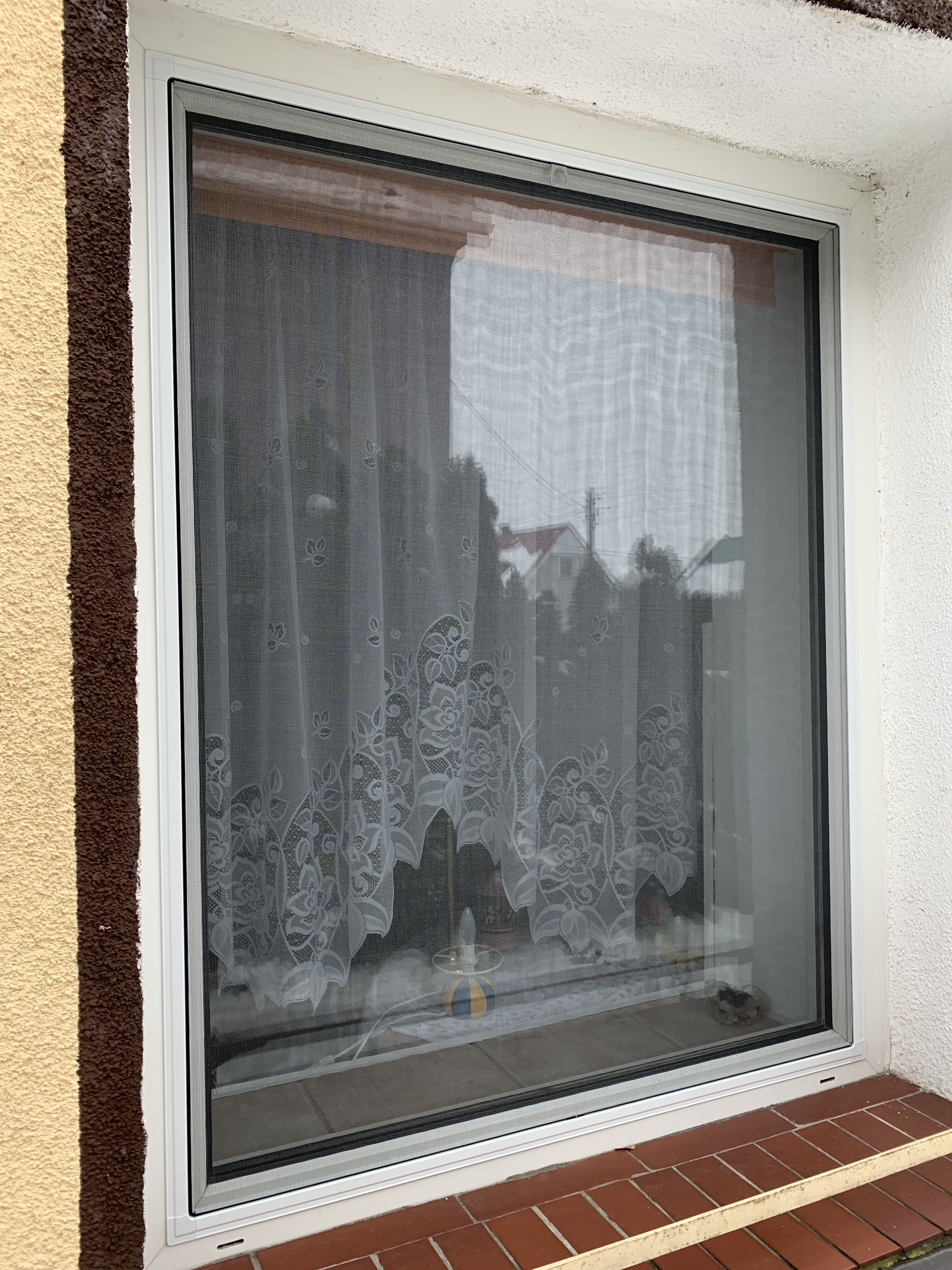 Insect screen · 3